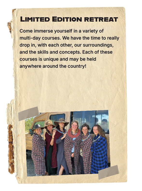 Course Offerings Banner