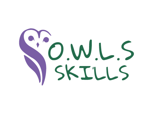 owl skills logo